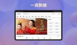 在线视频免费观看网站,揭秘免费观看在线视频的网站攻略